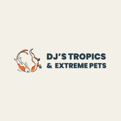DJ's Tropics: main logo, designed by Creative Atmosphere