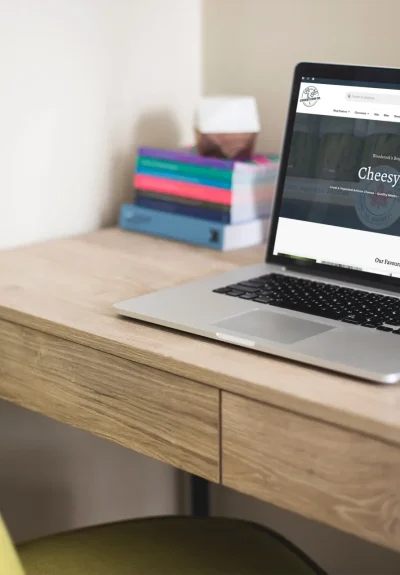 cheesy-cow-ecommerce-store